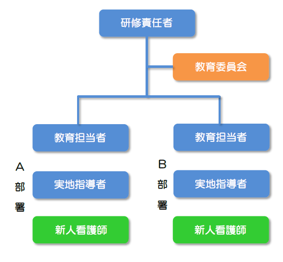 新人指導体制